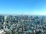 円安関連倒産、8月は半減　トランプ関税の影響じわり