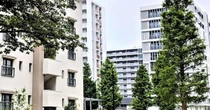 なぜ「昭和の古団地」にひかれるのか　見学ツアー2万人突破
