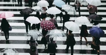 台風でも「全員出社」を強要する異常さ　日本企業をむしばむ「同質病」の正体