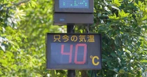「背中が汗だくになる」悩みに商機　サンコーがバッグにファンを付けた