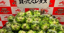 なぜ藤原竜也がレタスに？　夏の“野菜余り”を防ぐ、意外すぎる仕掛け