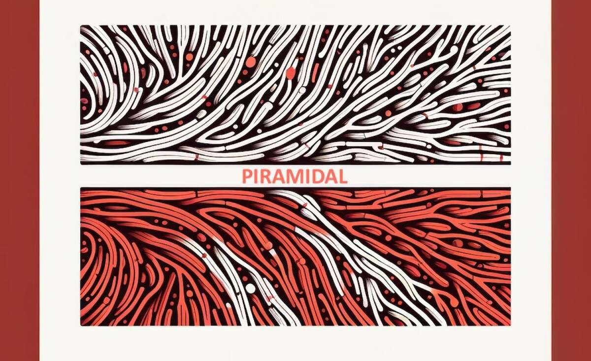 Piramidal’s foundation model for brainwaves could supercharge EEGs