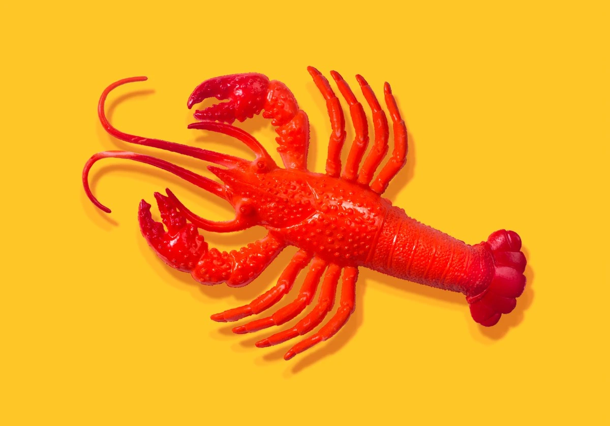 After all the hype, some AI experts don’t think OpenClaw is all that exciting