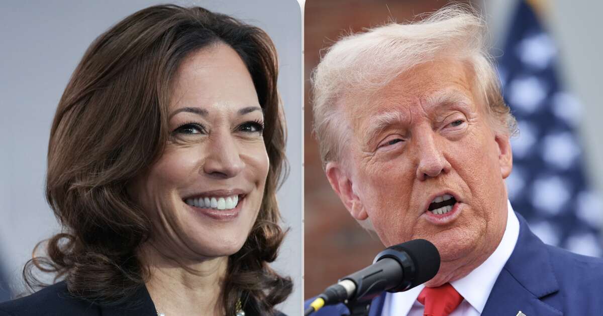 Poll: Tight race in Georgia, where Trump has 2-point edge over Harris