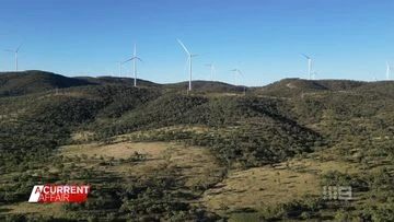 'They just flattened everything': Claims over tree clearing for wind farm