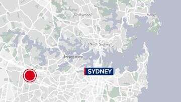 Bodies of man, woman with stab wounds found in Sydney's inner west