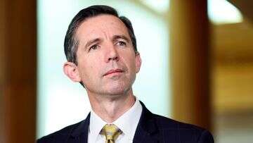 Opposition Senate leader Simon Birmingham to retire from politics