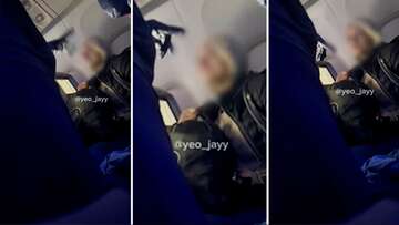 Moment flight attendant confronts stowaway on New York to Paris flight