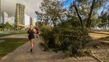 New tourism campaign aims to lure visitors back to Queensland after Alfred