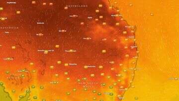 Soaring east coast temperatures trigger fire, heatwave warnings