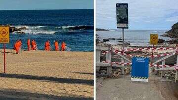 Beaches remain closed as clean-up of black 'tar' balls continues