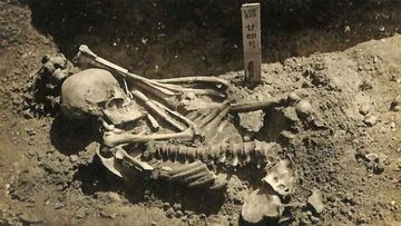 Researchers uncover 3000-year-old shark attack victim