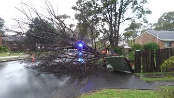 Wild weather knocks out power, cuts trains and threatens homes