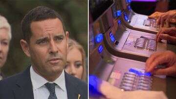 Attempt to ban pokies on Anzac Day fails in NSW Parliament