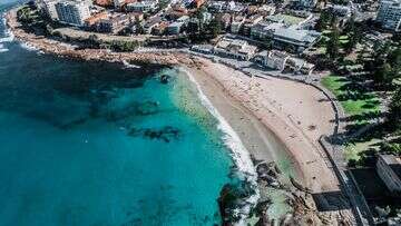 Faecal pollution likely at dozens of Sydney beaches