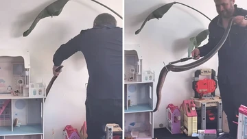 Shock as 'one of the biggest' black snakes slithers into children's playroom