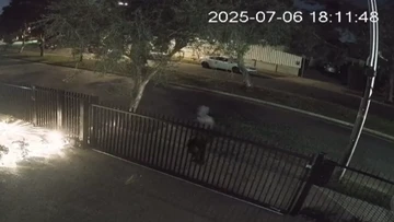 CCTV shows brazen assault on innocent woman and child