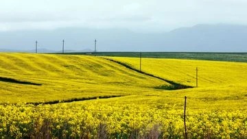 Jump in value of farmland beats all other Australian property: report