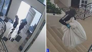 Teens steal $300,000 worth of items in Brisbane break-in