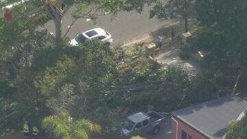 Two women 'serious' in hospital after huge tree branch falls on garden