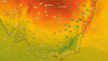 Soaring temperatures prompt high fire danger warning for Sydney