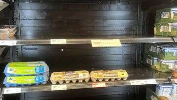 Egg shortage shows no signs of letting up as supermarkets continue purchase limits