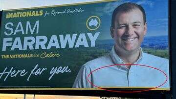 Nazi symbols graffitied on Nationals politician's billboard