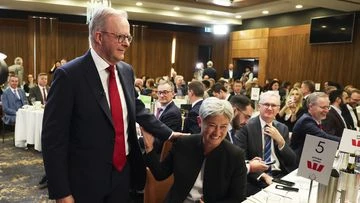 Labor wins big in Senate, Lambie in battle to retain own seat