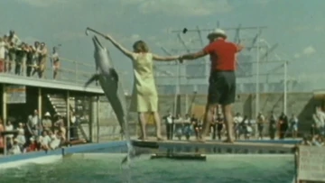 A look back at the Gold Coast's early attractions