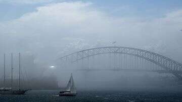 Man dies after two yachts crash on Sydney Harbour