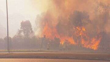 Bushfire burning at emergency level in NSW Hunter Valley