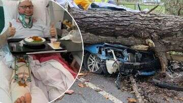 Aussie dad tells of miracle survival after huge tree crushed car