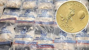 Bluey bandits wait to learn fate over theft of 63,000 coins