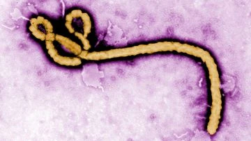 Plane forced to divert over Ebola fears after passenger boarded 'in error'