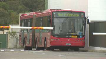 Warning of delays as part of Sydney's 'bendy bus' fleet pulled from service