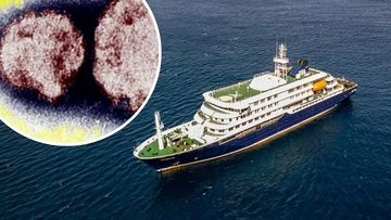 Australia's 'unique' position as deadly hantavirus threat looms