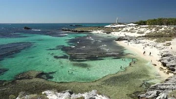 Man in a critical condition after shark attack on WA's Rottnest Island