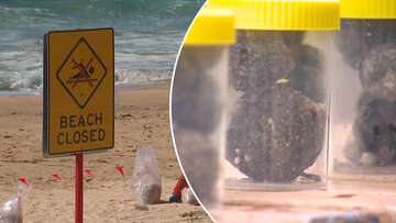 Several Sydney beaches given all clear from mysterious 'tar balls'