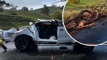 Driver in serious condition after large tree crushes ute during severe winds