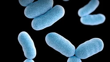 Leaked data shows diphtheria cases surged weeks before public health alert
