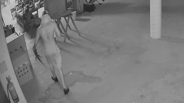 CCTV captures thief grabbing crocodile during crime spree at tourist park