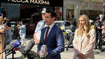Queensland crime rates down 10.8 per cent under 'adult crime, adult time' laws