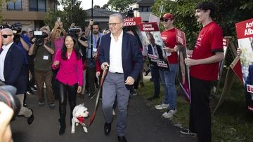Labor wins election on disastrous night for Dutton, Coalition
