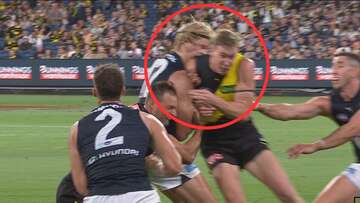 Tigers star in trouble as high shot sparks debate