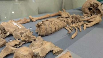 Bites on skeleton's bones show first evidence of gladiators fighting lions