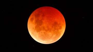 Rare 'blood moon' will be visible from millions of Australian homes this week