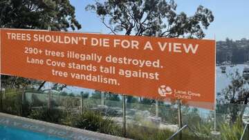 Construction begins on view-blocking banner after 'tree vandalism' in Sydney