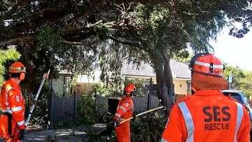 Victorians urged to stay home as wild winds of up to 130km/h set to lash state