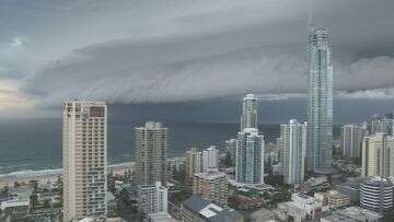 Freak storm litters streets with trees in parts of Brisbane