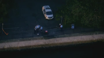 Man's body found after car plunged into Sydney river